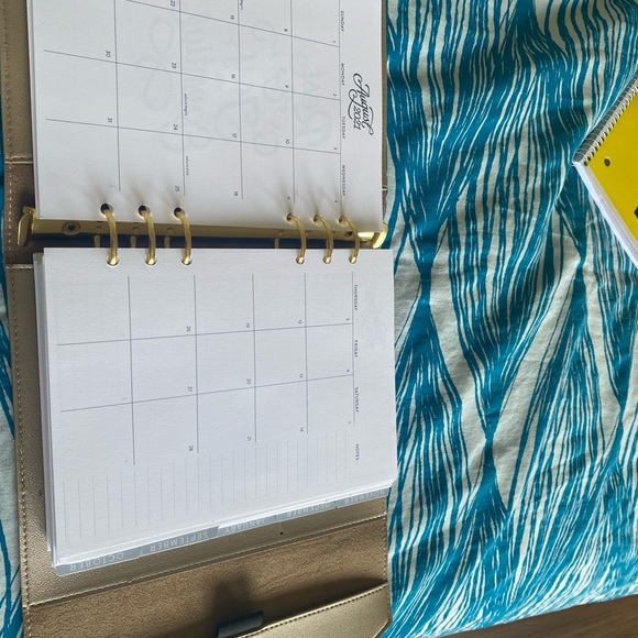 Erin Condren Champgne day planner - Picture 5 of 5